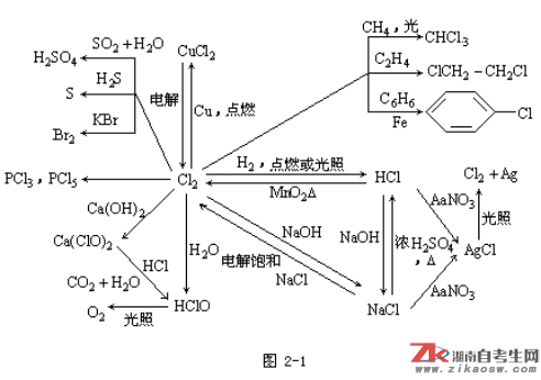 成人高考高起點(diǎn)《化學(xué)》輔導(dǎo)：氯及其化合物